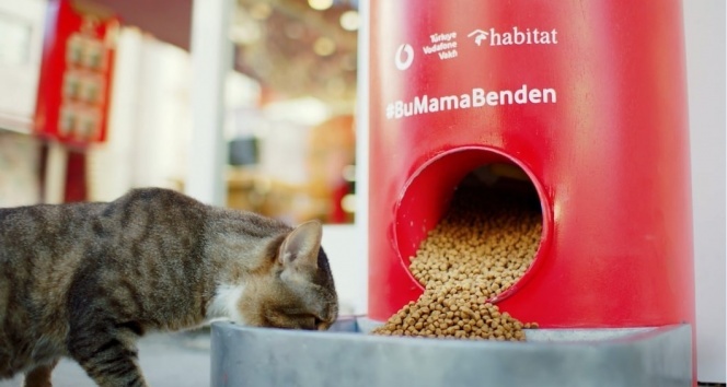 Türkiye Vodafone Vakfı’ndan &#039;Salgında sokak hayvanlarını unutma&#039; çağrısı