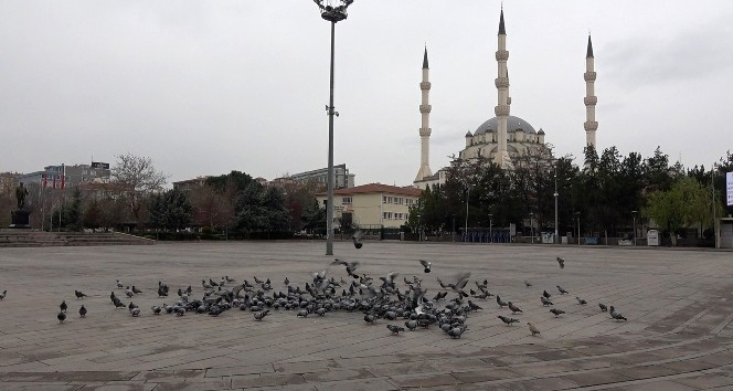 Kırıkkale’de meydanlar güvercinlere kaldı