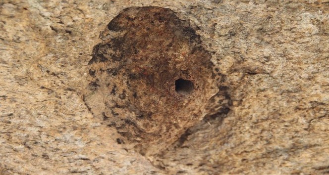 Latmos’un sıvacısı ‘Çömlekçi’ kuşu örnek alınsın