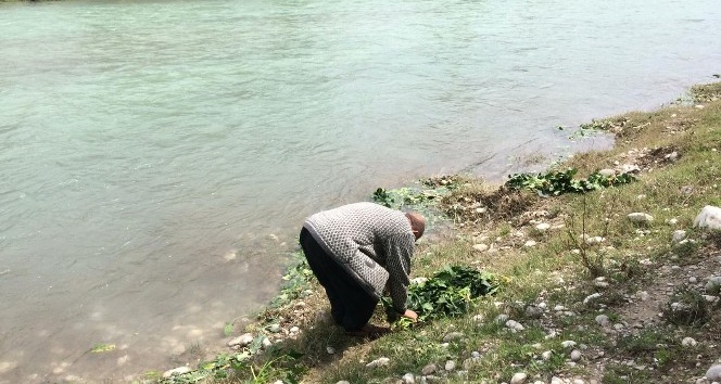 Savrun çayında şaşırtan görüntü