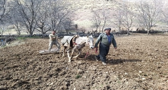Uludure’de atlarla tarla sürdüler