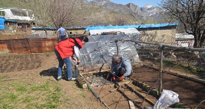 Şırnak’ta organik sebze tohumları toprakla buluştu