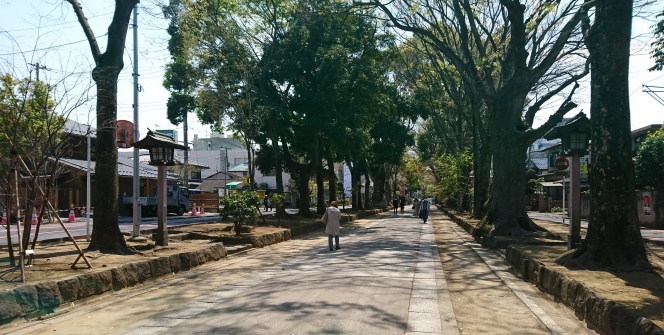 Japonya'dan OHAL manzaraları