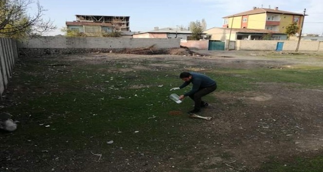 Iğdır’da sokak hayvanları için yem ve su  bırakıldı