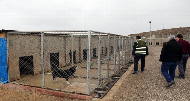 Geçici Hayvan Bakımevi denetlendi