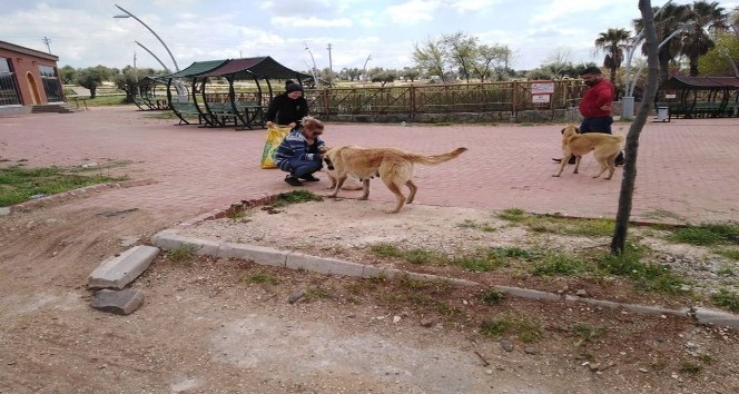 Sokak hayvanları unutulmadı