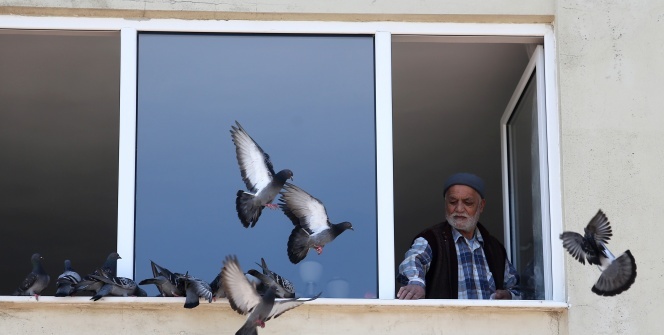 Bursa’da sokağa çıkamayan 78 yaşındaki Hasan Amca, penceresine konan güvercinleri besledi