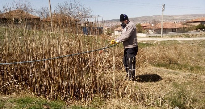 Larvalara karşılık mücadele başlatıldı