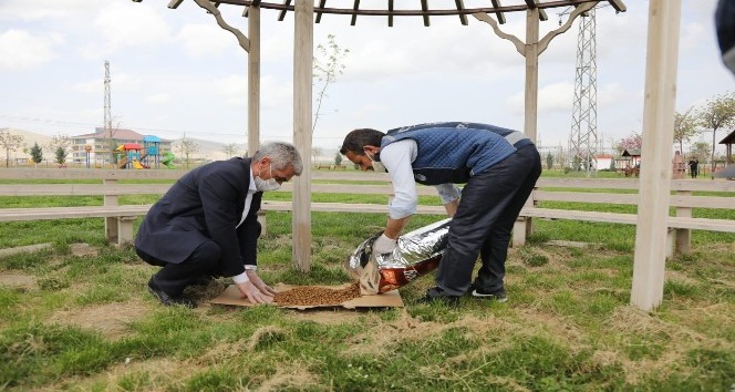 Kızıltepe Belediyesi sokak hayvanlarını unutmuyor