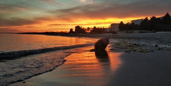 Silivri’de kartpostallık gün batımı