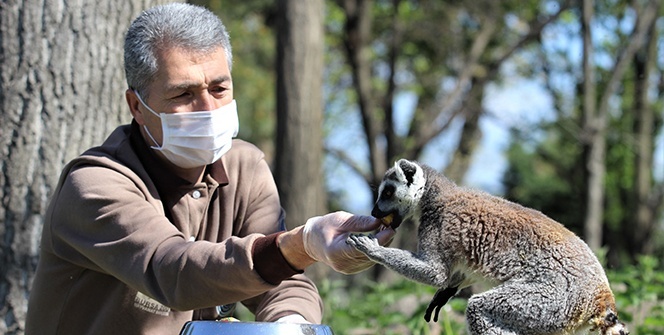 Avrupa'da hayvanlara kıyım, Bursa'da ziyafet var
