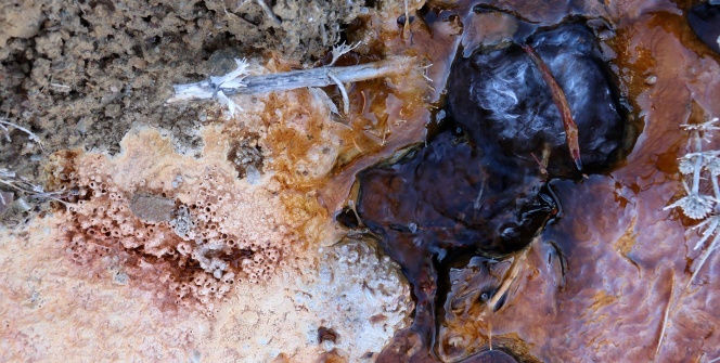 Sulama amaçlı açılan kuyudan fışkırdı! Saniyede 3-4 litre ortaya çıktı