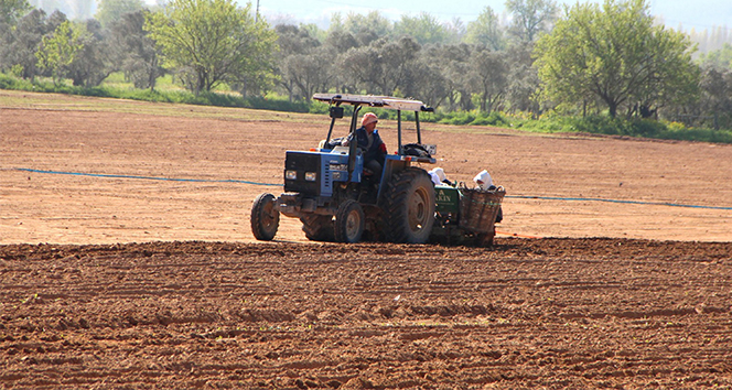 Sokağa çıkma kısıtlamasından etkilenmeyen çiftçiler tarlalarda