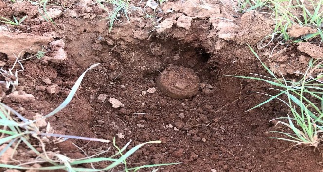 Suriye sınırında 12 anti personel mayını imha edildi