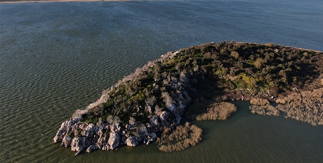 Ada sahibi çiftçi Cristiano Ronaldo'dan umudu kesti Fatih Terim'e seslendi