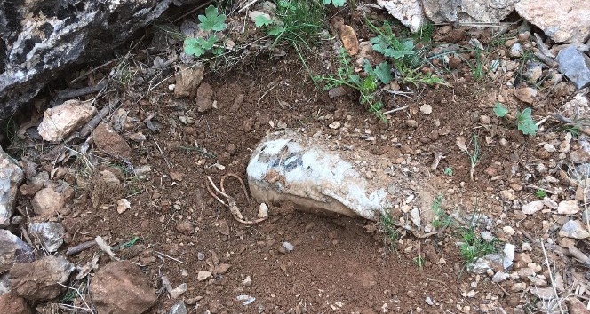 Siirt’te PKK’lı teröristlerce araziye tuzaklanan patlayıcı tespit edildi