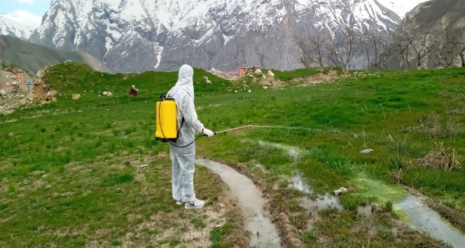 Hakkari’de larva ile mücadele çalışması
