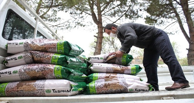 Kuru fasulye tohumu desteğiyle bölgeye 3 buçuk milyon lira katkı sağlanacak