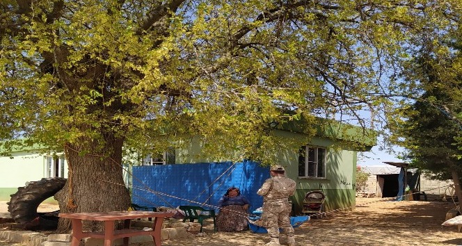 Polateli ilçesinde 236 kişiye bin TL ödeme yapıldı