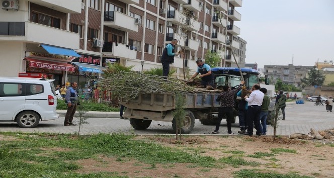 Cizre’de yeşillendirme çalışmaları devam ediyor