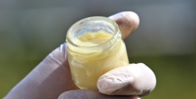 Kilosu 7 bin liraya yok satıyor! Bağışıklık sistemini güçlendiriyor