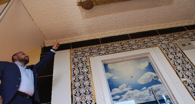 Evin ortasına çamurdan yuva yapan kuşlar 7 yıldır burada yaşıyor