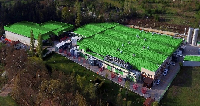 Kızıl: "Güvenli içecek ve hijyen, tüketicinin ilk tercihi olacak"