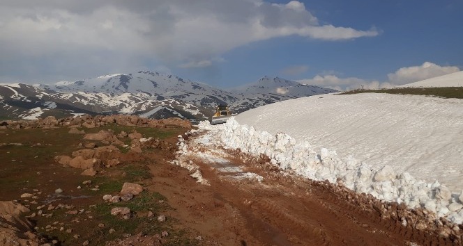 Karlar eridi, iki aileye aylar sonra ulaşıldı