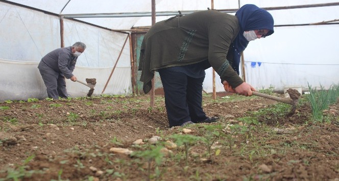Uşak’ta tarımsal üretim ‘steril’ şekilde sürüyor