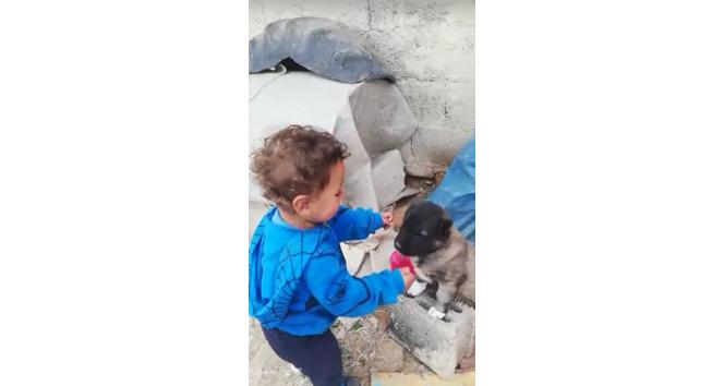 1 buçuk yaşındaki çocuk ile yavru köpeğin dostluğu yürekleri ısıttı