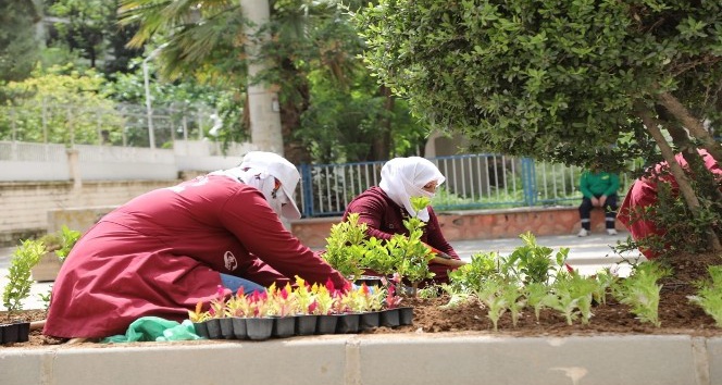 Kızıltepe’de refüjler çiçek açtı
