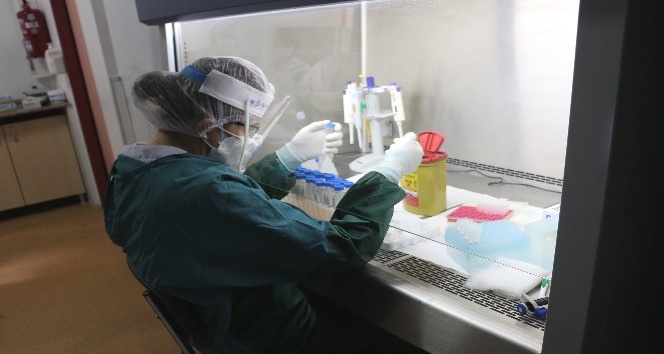 Prof. Dr. Cömert: “Günlük PCR testi kapasitemiz 500-600 arasında”