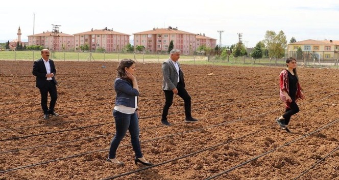Silopi’de fide ekimi başladı