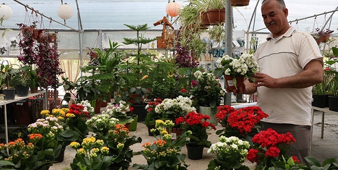 Korona sayesinde balkonlar bahçeye dönüştü