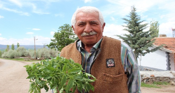 65 yaş üzeri vatandaşın bahçe bakımını belediye ekipleri yapacak