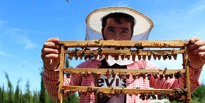 Okul harçlığı için başladığı arcılık gelir kapısı oldu