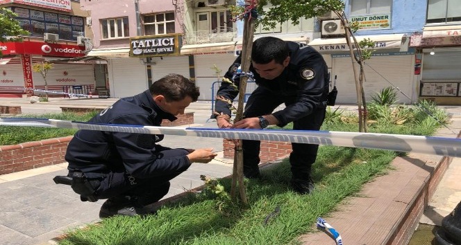 Rüzgardan eğilen ağacın yardımına Kızıltepe polisi koştu