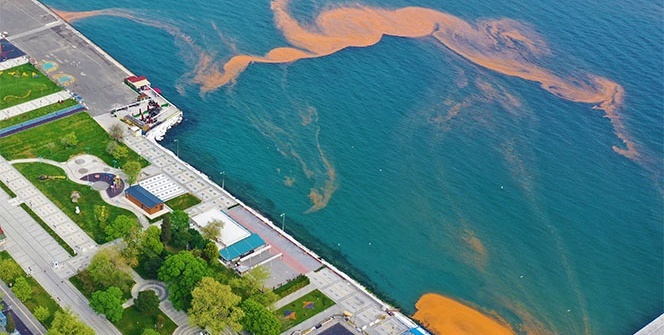 Marmara Denizi yine turuncuya büründü