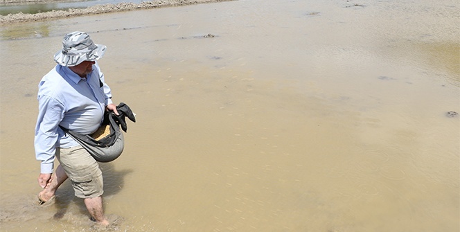 Çiftçilerin meşakkatli "çeltik" ekimi