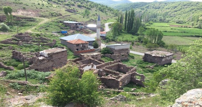 Gidemedikleri köylerine kamera yerleştirip özlem gideriyorlar