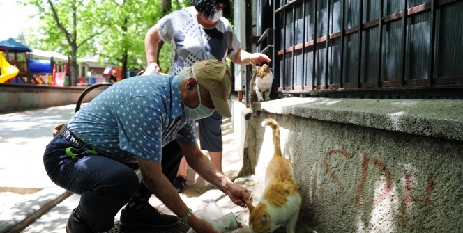 65 yaş ve üstü vatandaşlar 1 hafta aradan sonra tekrardan sokaklarda