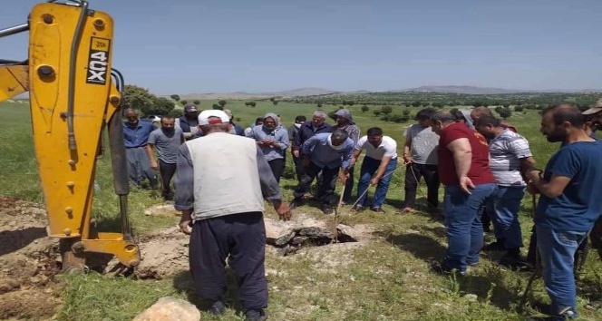 Eğil’de su kuyusunda mahsur kalan atı belediye ekipleri kurtardı