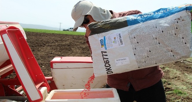 Çiftçiler, Ramazan ayında sıcak ve Covid-19’a rağmen tohumları toprakla buluşturuyor