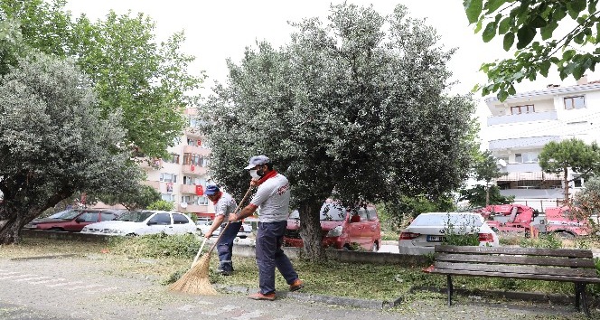 Mudanya’da yaz temizliği