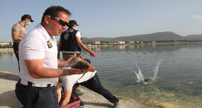 Beyşehir Gölüne balık taşıma mesaisi sürüyor