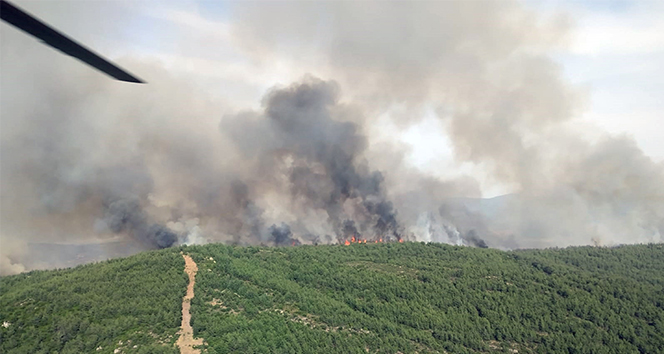 Muğla’daki orman yangını havadan ve karadan müdahaleye rağmen büyüyor