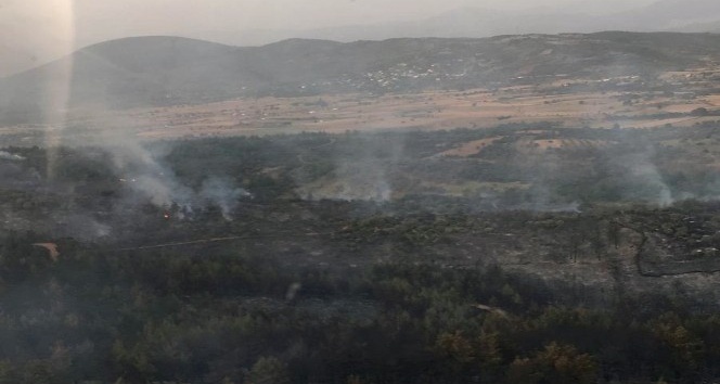 Yangın 5 saatte kontrol altına alınabildi, 50 hektar alan zarar gördü