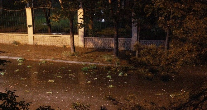 Eskişehir’de şiddetli rüzgar ağaç dallarını kırdı