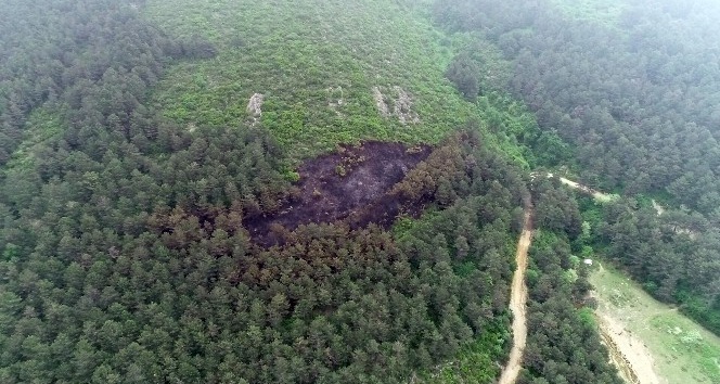 Aydos’ta yanan ormanlık alan havadan görüntülendi
