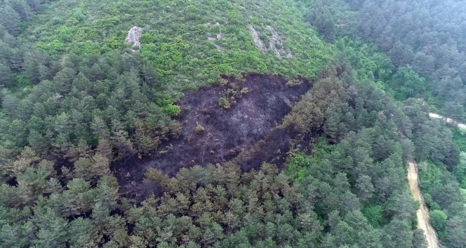 Aydos'ta yanan ormanlık alan havadan görüntülendi